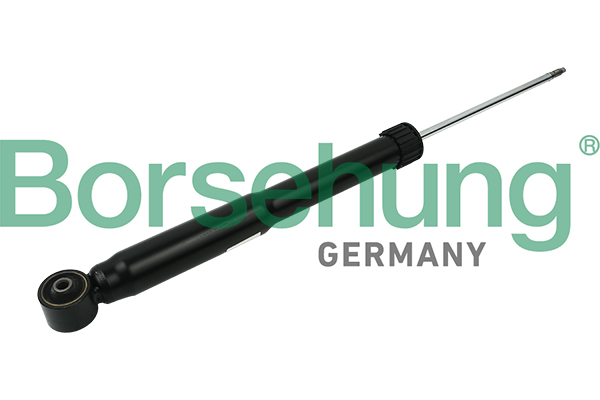 amortizatorius - B12139 Borsehung