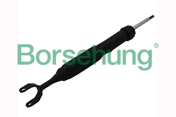 amortizatorius - B12140 Borsehung