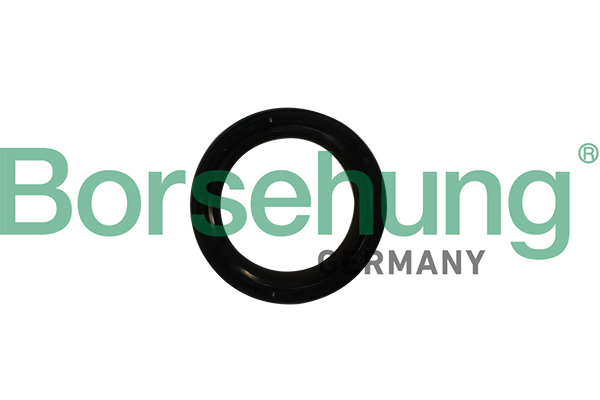 Shaft Seal, crankshaft - B12179 Borsehung
