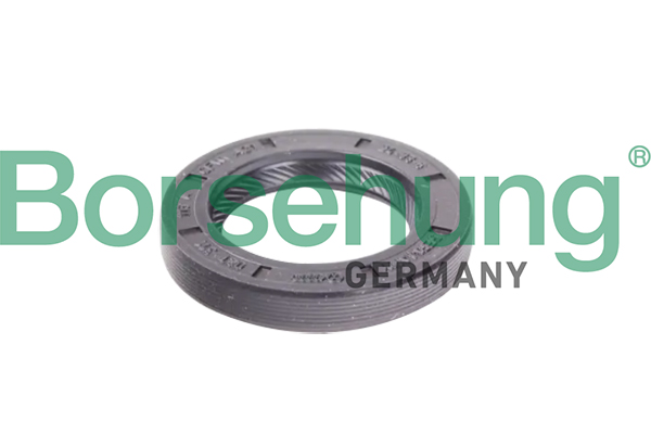 Shaft Seal, manual transmission - B12191 Borsehung