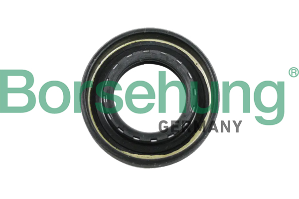 Shaft Seal, manual transmission - B12194 Borsehung