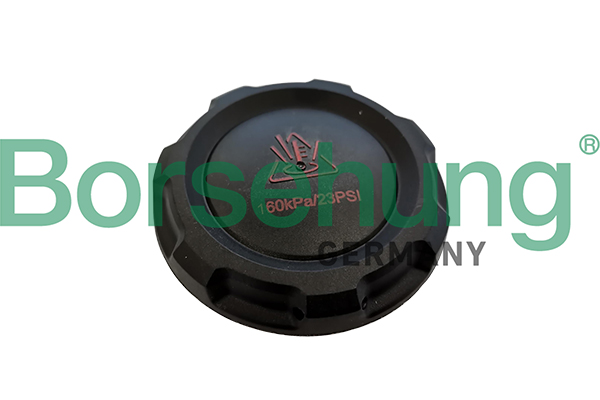 Sealing Cap, coolant tank - B12203 Borsehung