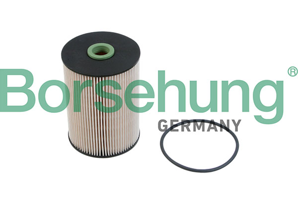 Filtro carburante - B12214 Borsehung