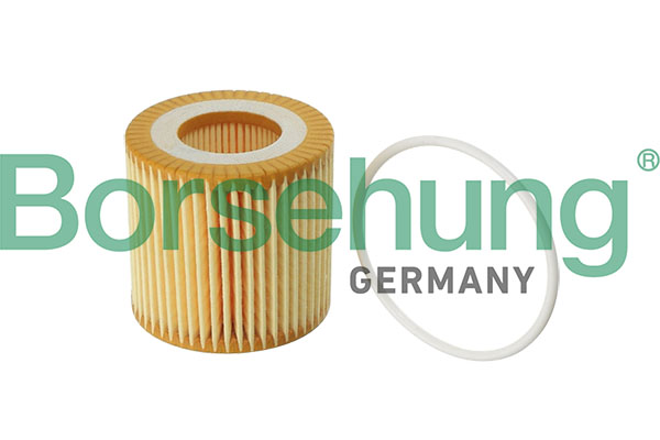 Oil Filter - B12219 Borsehung
