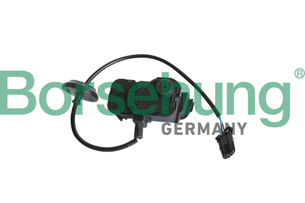 Control, central locking system - B12228 Borsehung