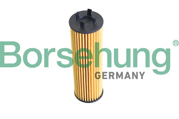 Filtro olio - B12286 Borsehung