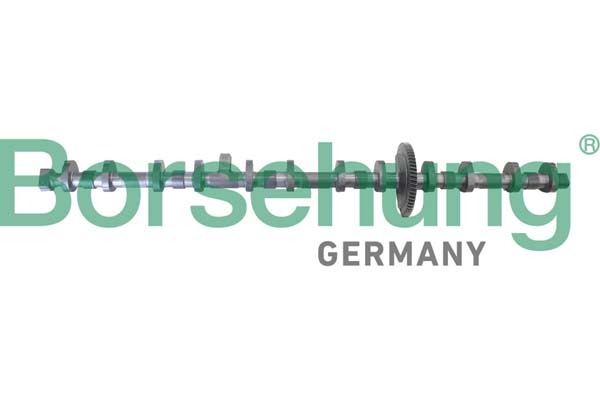 Eccentric shaft, camshaft adjustment - B12296 Borsehung