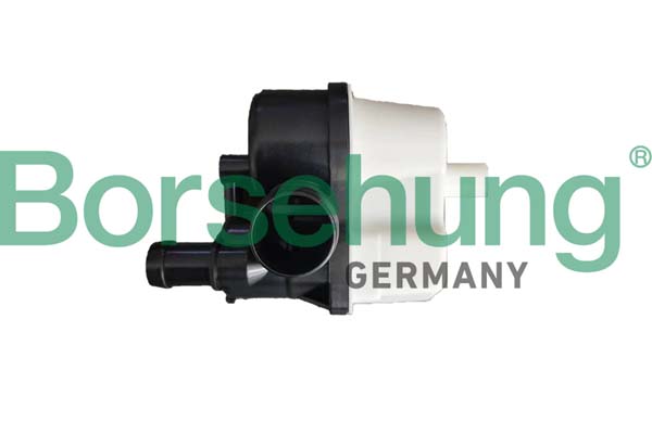 Pompa del gas, serbatoio carbone attivo EVAP (sfiato serb.) - B12300 Borsehung