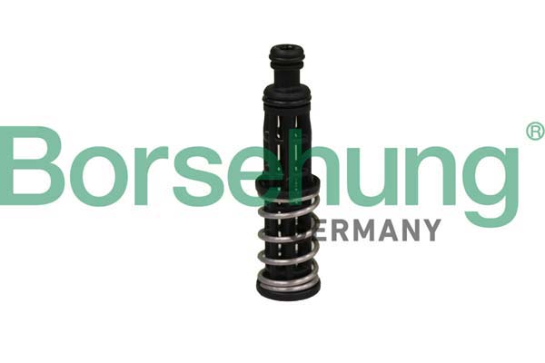 Oil Pressure Valve - B12309 Borsehung
