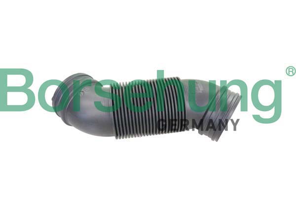 Flessibile d'aspirazione, Filtro aria - B12323 Borsehung