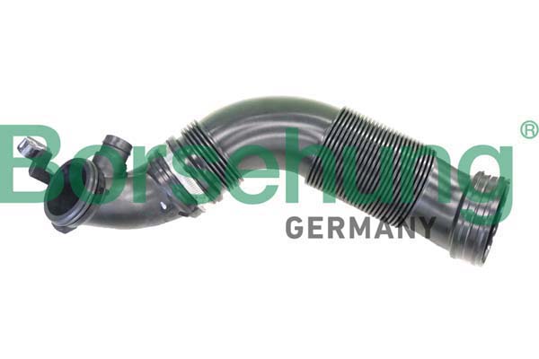 Intake Hose, air filter - B12325 Borsehung