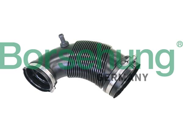 Flessibile d'aspirazione, Filtro aria - B12328 Borsehung