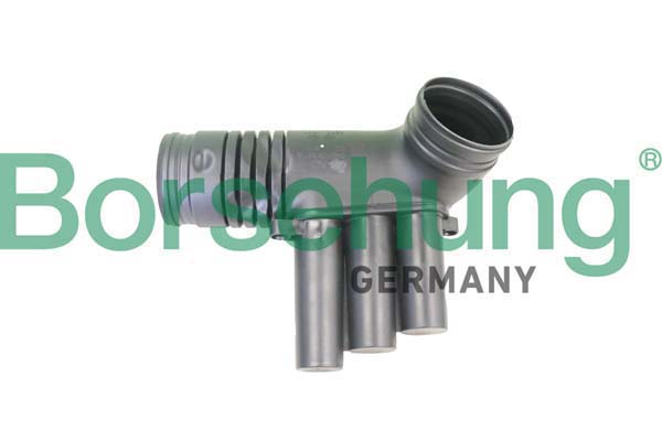 Flessibile d'aspirazione, Filtro aria - B12330 Borsehung