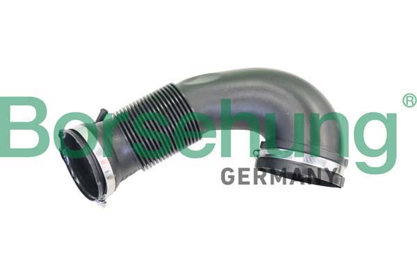 Intake Hose, air filter - B12333 Borsehung