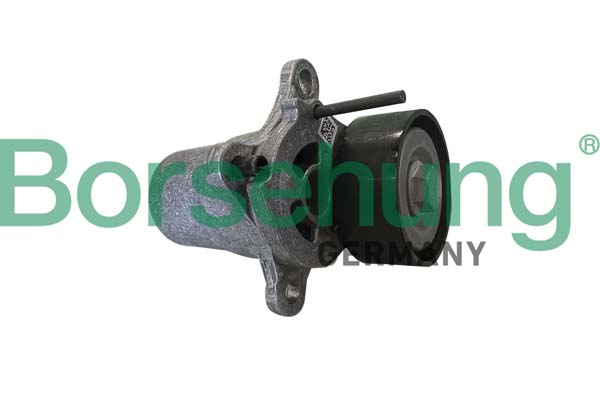 Tendicinghia, Cinghia Poly-V - B12393 Borsehung