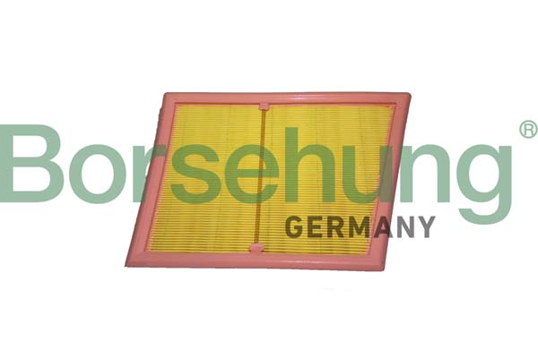 oro filtras - B12439 Borsehung