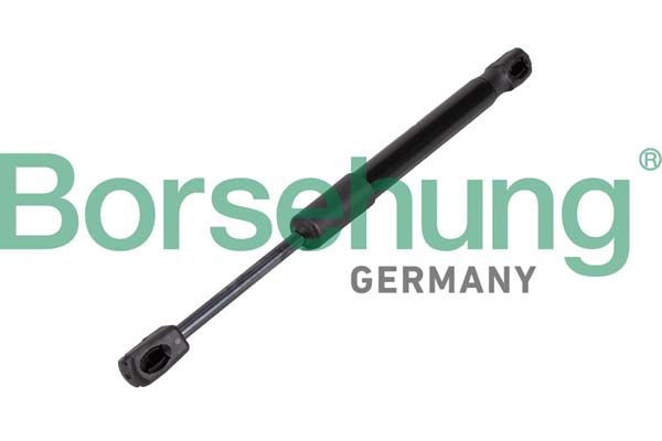 Gas Spring, bonnet - B12476 Borsehung