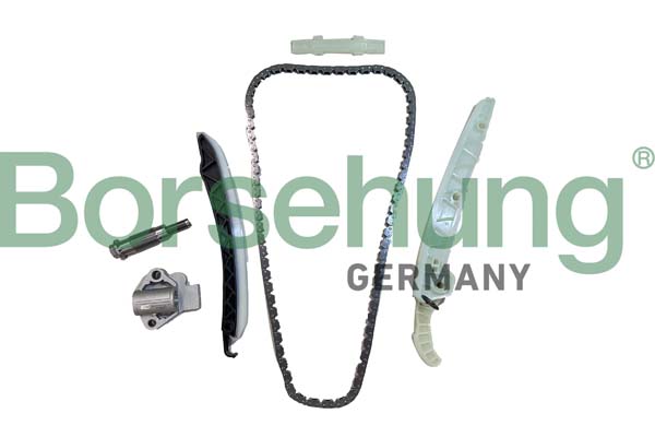 Timing Chain Kit - B12555 Borsehung