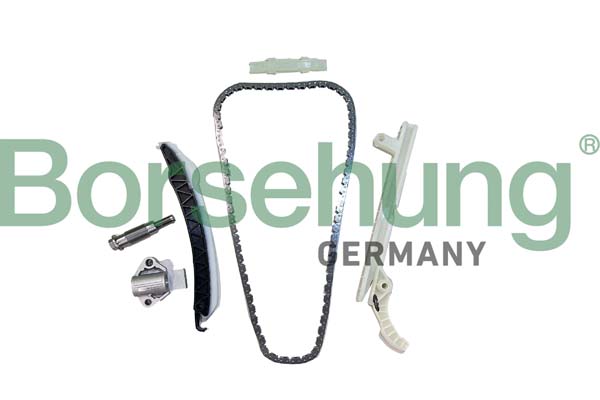 Timing Chain Kit - B12556 Borsehung