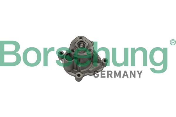 Water Pump - B12696 Borsehung