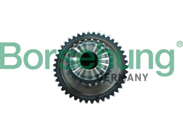 pavaros grandinė - B12746 Borsehung