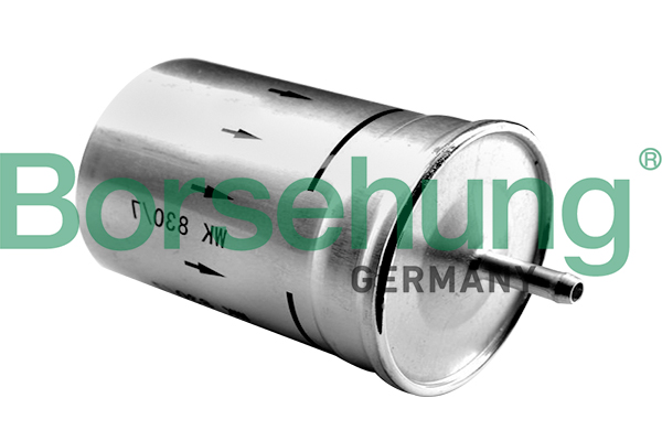 Fuel filter - B12794 Borsehung