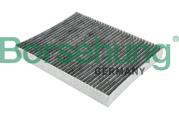 Filter, interior air - B12799 Borsehung