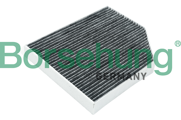 filtras, salono oras - B12801 Borsehung