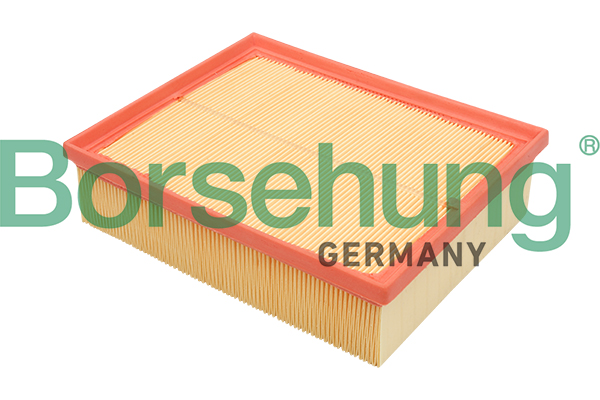 oro filtras - B12805 Borsehung