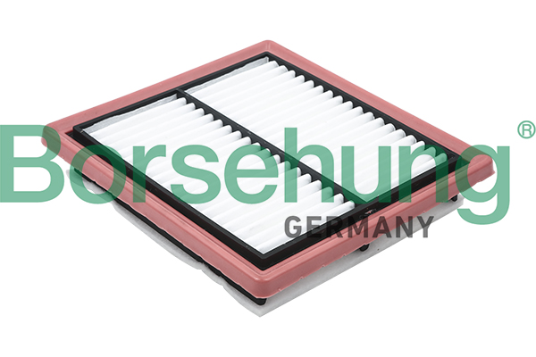 Filtro aria - B12809 Borsehung