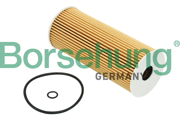 Filtro olio - B12816 Borsehung