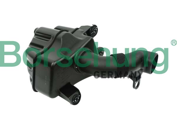 Air Intake System - B12830 Borsehung