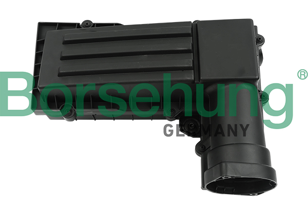 Air Filter - B12846 Borsehung