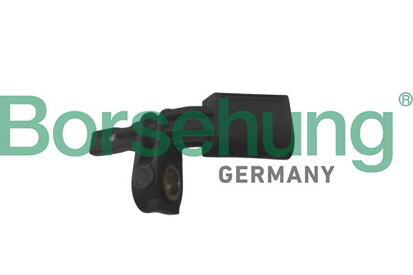 Sensor, wheel speed - B12866 Borsehung
