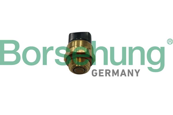 Temperature Switch, radiator fan - B13131 Borsehung