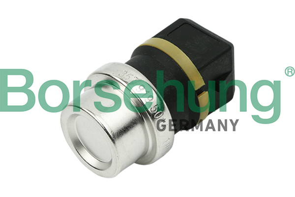 Sensore, Temperatura refrigerante - B13134 Borsehung