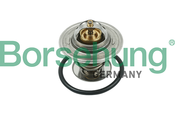 Termostato, Refrigerante - B13141 Borsehung