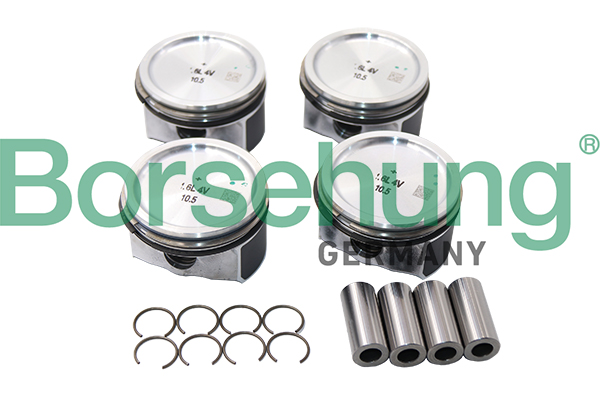 Piston Ring Kit - B13576 Borsehung
