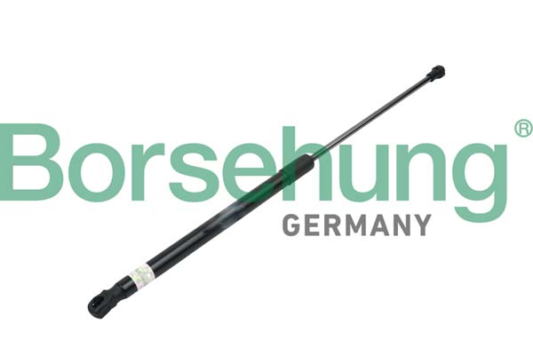 Ammortizzatore pneumatico, Cofano motore - B14189 Borsehung