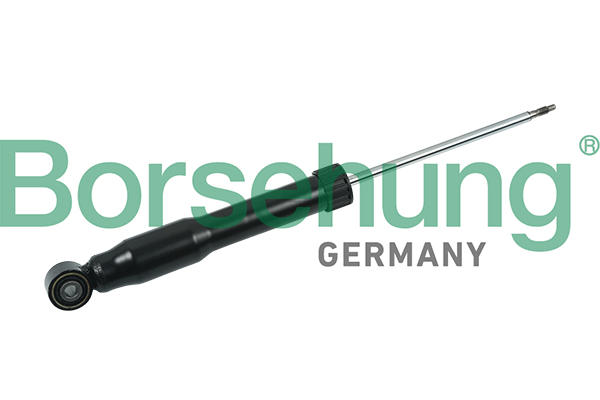 Ammortizzatore - B14723 Borsehung
