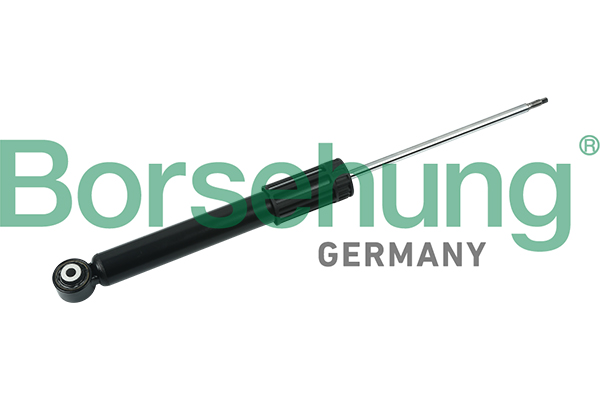 Ammortizzatore - B14725 Borsehung