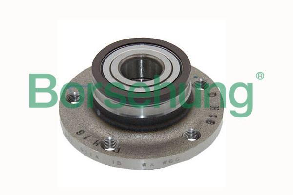 Kit cuscinetto ruota - B15621 Borsehung