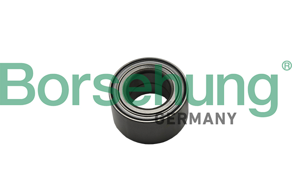 Cuscinetto ruota - B15622 Borsehung