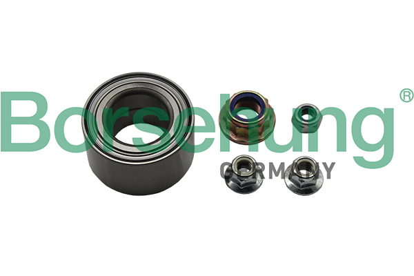 Kit cuscinetto ruota - B15959 Borsehung
