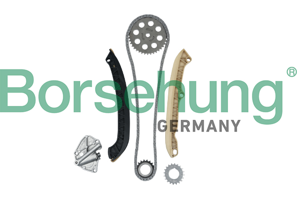 Timing Chain Kit - B16294 Borsehung