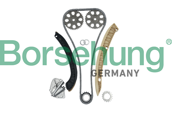 Timing Chain Kit - B16295 Borsehung
