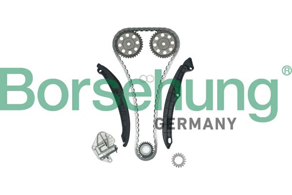 Timing Chain Kit - B16296 Borsehung