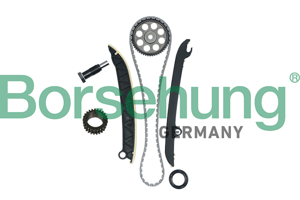 Kit catena distribuzione - B16297 Borsehung