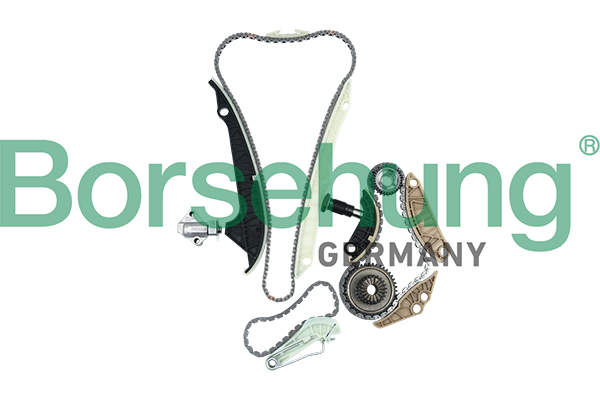 Timing Chain Kit - B16298 Borsehung