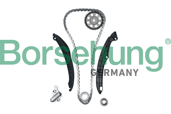 Timing Chain Kit - B16299 Borsehung